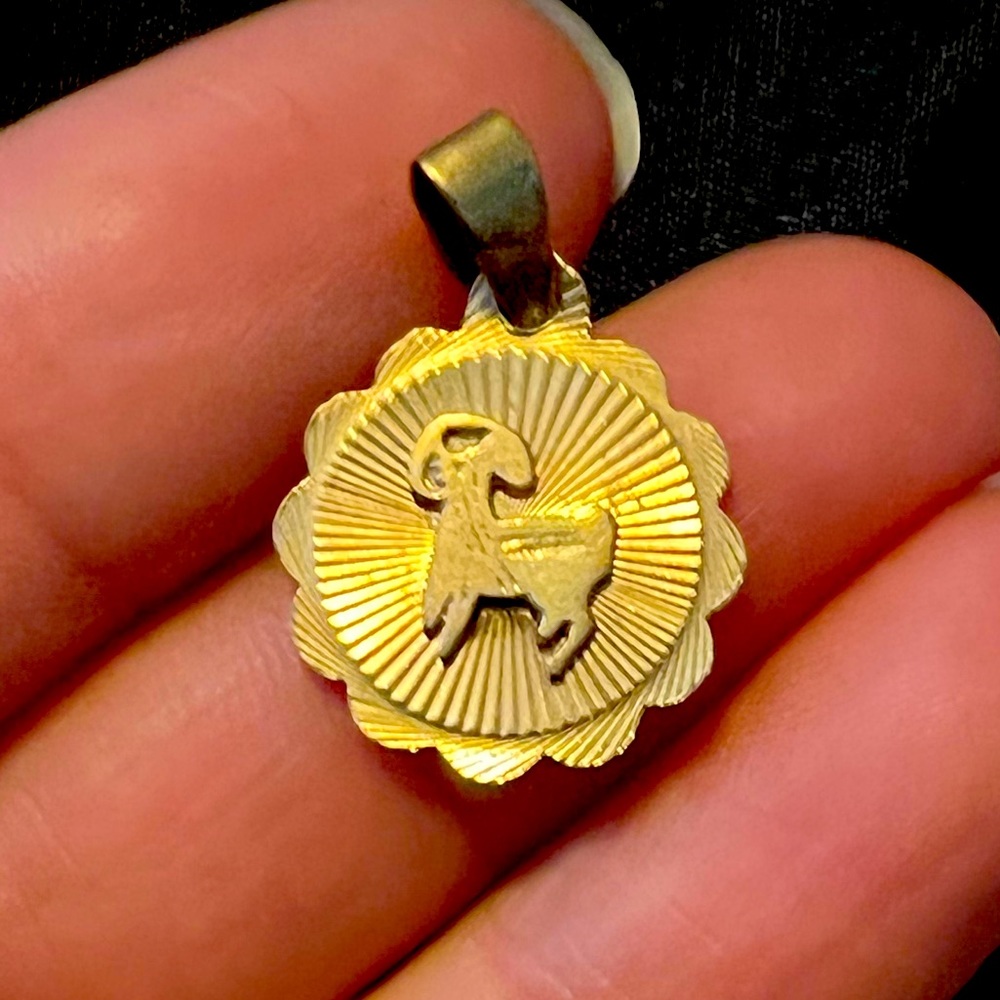 ♑️ Capricorn gold pendant